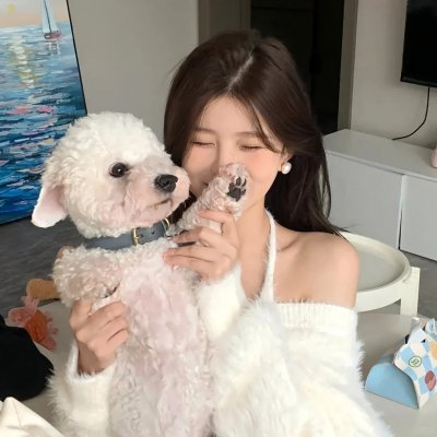 秘窗